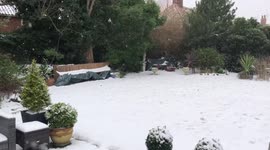 Newsflare Motorists In Norfolk Abandon Cars As Giant Snow Drifts Block Roads