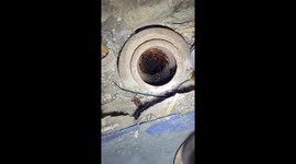 US man shines light down sewer pipe revealing intrusion of cockroaches