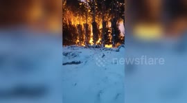Dramatic video shows the moment a power line collapsed in the snow - and set fire to an orchard behind a family's garden