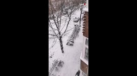Gentleman Casually Skis Through the Streets  Only in Amsterdam