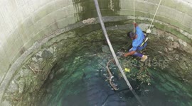 Thrilling moment rescuers save three venomous snakes in 100-foot-deep well in India
