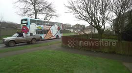 Dozens of sheep bring traffic to a standstill