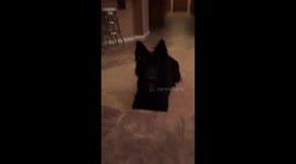 Odin snapping on command.