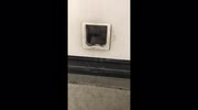 temp