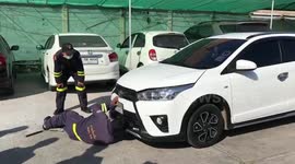 Scary moment snake is pulled out of car engine