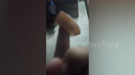 Shopper horrified after finding squid glowing blue