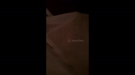 Fun with my cat, Gay Bob!