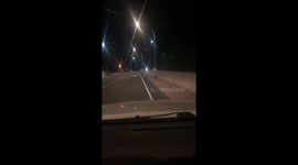 Saving a PORCUPINE STUCK ON BRIDGE will rescuers son narrates ( says my mom is not crazy its her job lol )