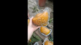 Vietnam Fruit Garden owners create specially shaped fruits on the occasion of the Lunar New Year