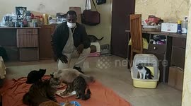 A citizen of the Gaza Strip keeps cats inside his home