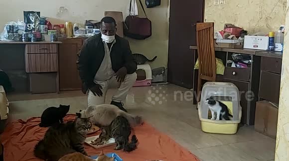 A citizen of the Gaza Strip keeps cats inside his home