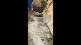 Funny video shows toddler covering the living room with talc