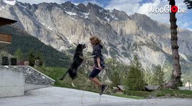 Rescue dog hops over skipping rope with ease in front of scenic Swiss background