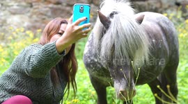A lady takes a selfie with a cute long haired pony.