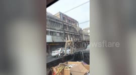 Ravenous monkeys climb onto moving pickup truck in search of food