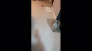 temp