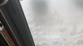 Husky dog shakes his head no and refuses to come inside from the snow
