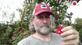 Stunning Slow Motion Footage of a Hummingbird Eating from a Man's Hand