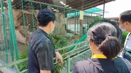 Notorious Thai zoo shocks locals with poor state of animals during Covid-19 downturn