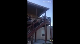 Best way to take care of the pumpkins after Halloween