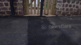 A new set of houses sparks attention after a road sign is placed directly in front of the entrance to one of the homes - those responsible labelled 'brain dead'