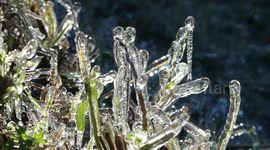 Kodaikanal the hilly region that is called as India s Switzerland almost froze with the bone chilling temperature