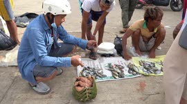 Market on Philippines island only operates via ancient system of bartering