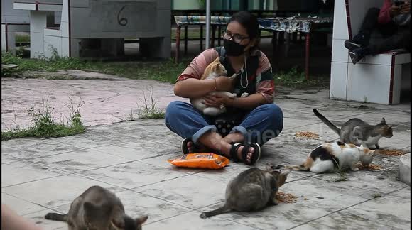 Indonesian university students feed stray cats on their campus during COVID-19 lockdown