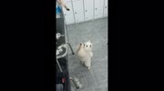 temp
