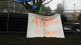 Environmental protesters scale tree scheduled to be chopped in London