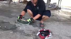 Hungry snake caught eating woman's earphones