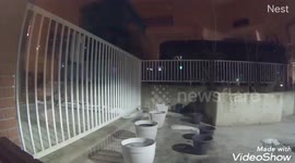 Canada: Outdoor Home Security Camera Captures Meteor Over Alberta 2