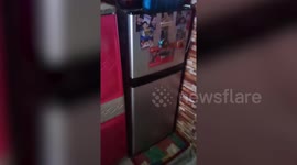 Puppy hides inside fridge to escape hot weather