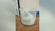temp