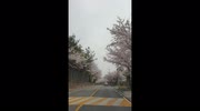 temp