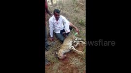 Man kills rogue leopard with bare hands to protect wife and daughter