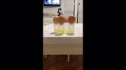 temp