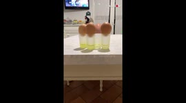 3 Eggs and a Dad? Funny Video with a Strange Ending