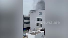 Fire at factory in Singapore leaves eight injured