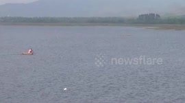 Deer rescued after being found struggling to swim through reservoir