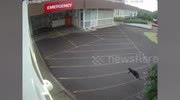 temp