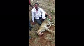 Man kills leopard with bare hands to protect wife, daughter in India