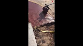 'Guy Can't Believe that Bricks are Made Like This!'