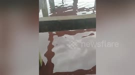 Residents baffled after sea turns reddish brown in Philippines