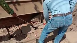 Serpent expert captures venomous snake within moments in central India