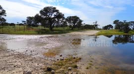 Dry river flows for first time in 40 years after heavy rain in South Africa