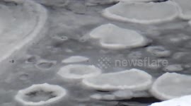 Rare New Hampshire Ice Pancakes