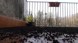 Etna eruption and heavy fall of scories from summit craters