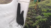temp