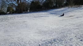 Kid stacks it in the snow.... Big time!